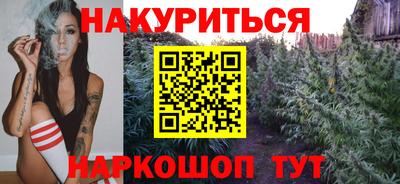 Альфа ПВП Владикавказ
