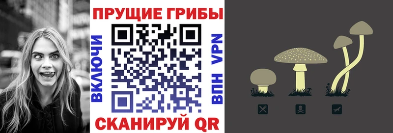 Галлюциногенные грибы Psilocybine cubensis  цены   Азнакаево 