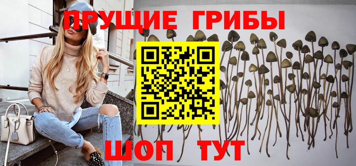 Азнакаево  Псилоцибиновые грибы ЛСД  Галлюциногенные грибы Psilocybine cubensis  Вход с VPN 